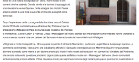 Staffetta a nuoto