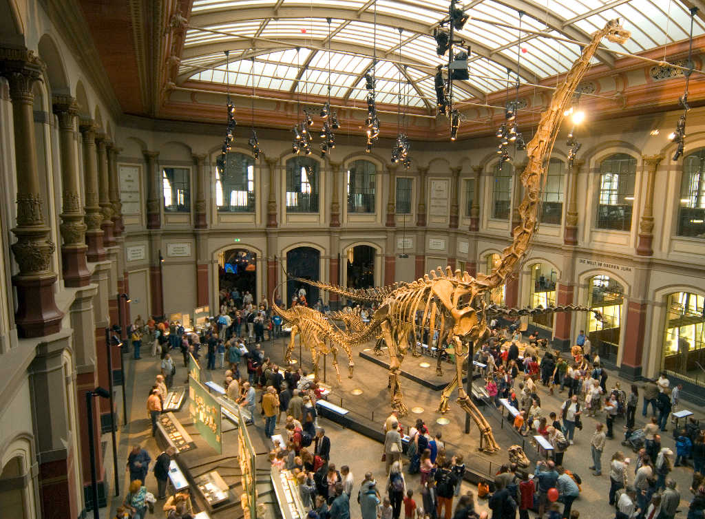 museo_di_scienze_naturali_berlino_naturkundemuseum_natu ASSOCIAZIONE