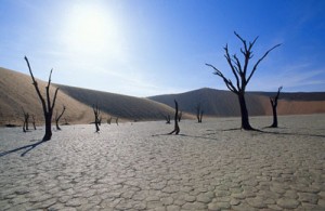 -desertificazione-