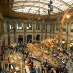 museo_di_scienze_naturali_berlino_naturkundemuseum_natu