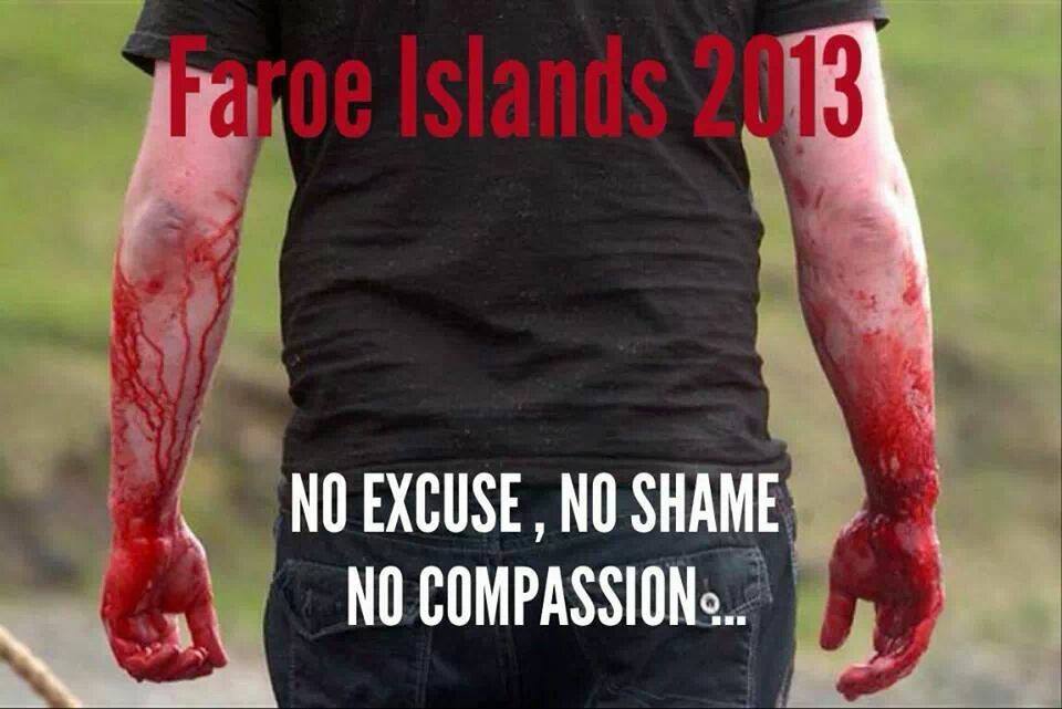 Il 10 Ottobre a Sandavágur, Isole FarOer, sono stati uccisi 108 globicefali.