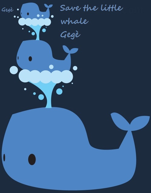 Save the little whale Gegè